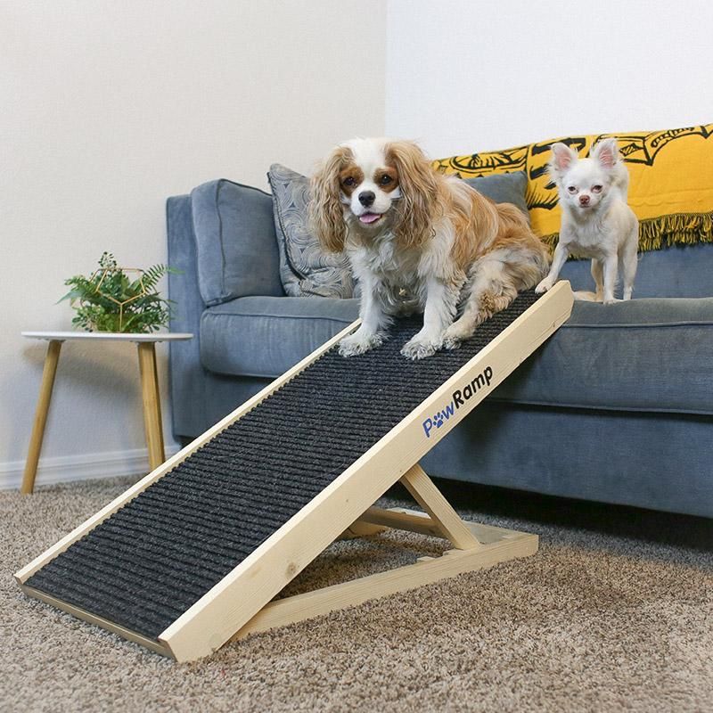 Paw Ramp - Dog Ramp for Couch & Bed