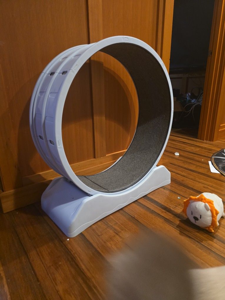 Hardly Used. Cat Treadmill.