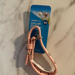 Pink Dog Collar 