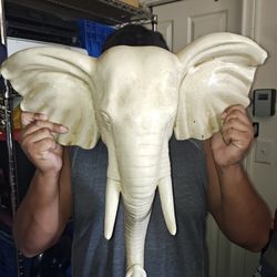 Elephant Head