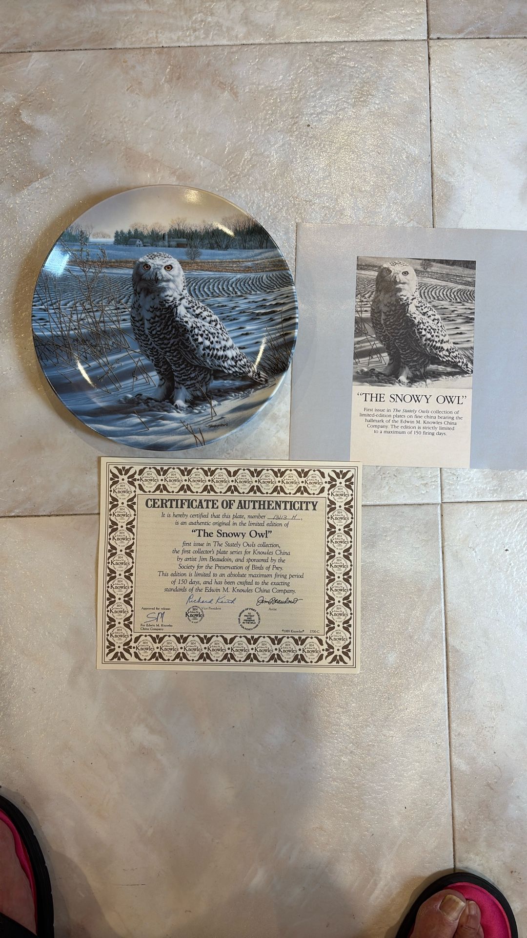 The Snowy Owl Decorator Plate