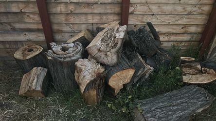 Free Wood