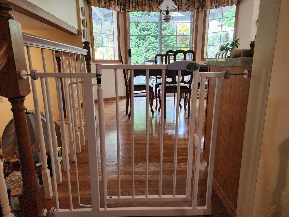 Dog Gate