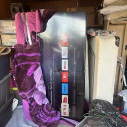 75”  TV Or Best Offer Need Gone Asap