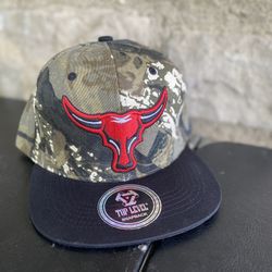 SnapBack Hat (  pick up only ) $14 FIRM