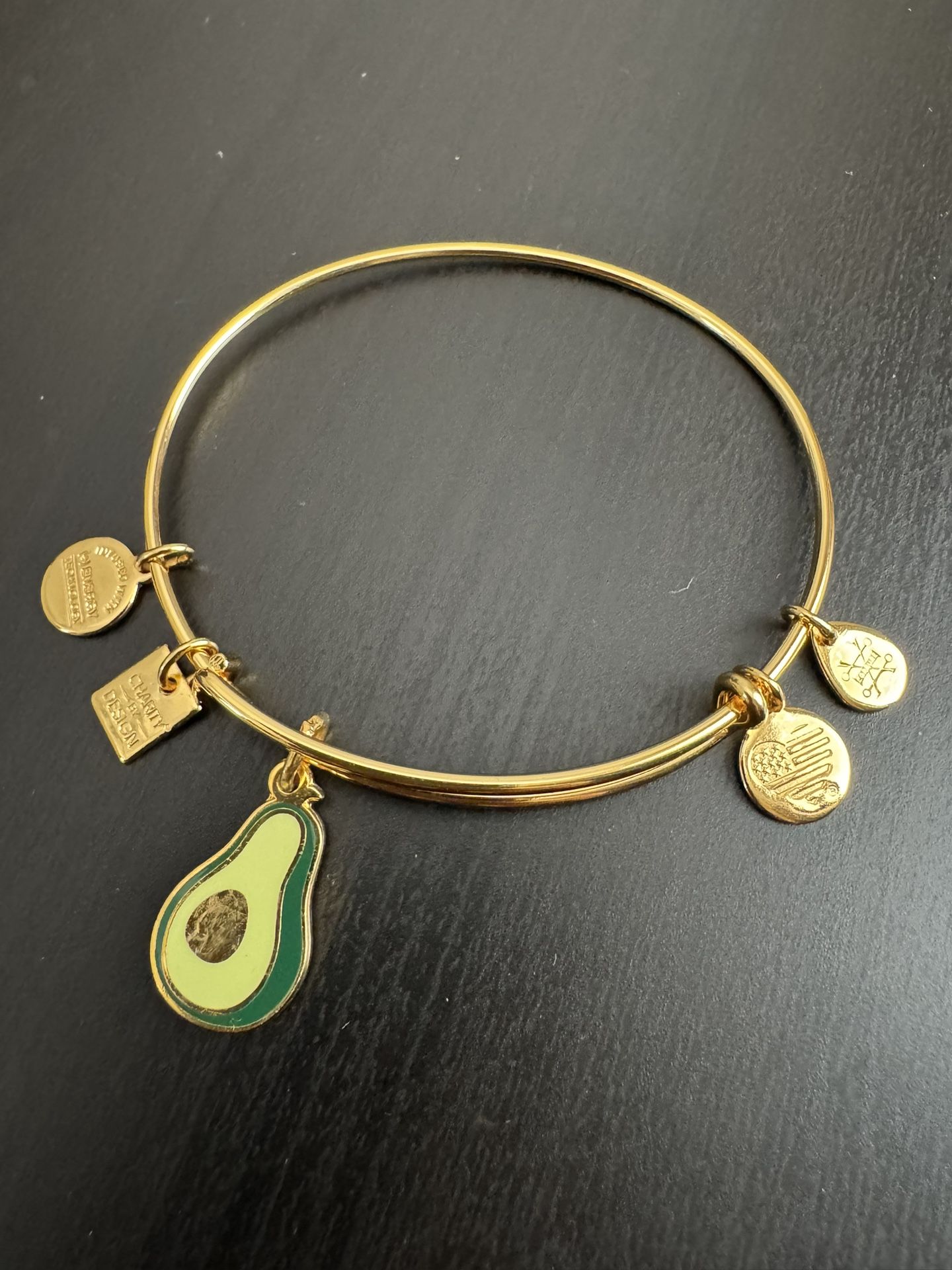 Alex And Ani Charm Bracelet