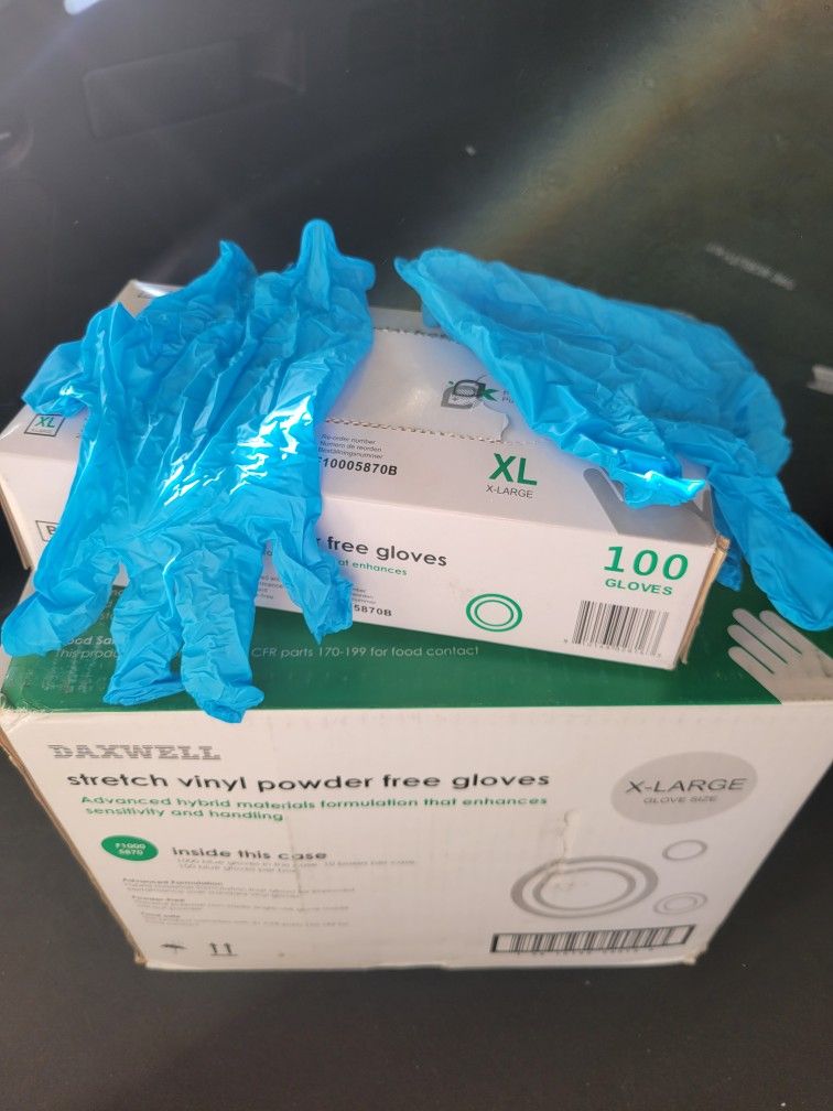 Stretch Vinyl Powder Free Gloves