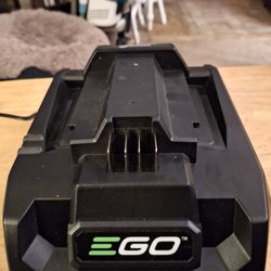 E Go 56v Charger  Brand New  $20.00 Each