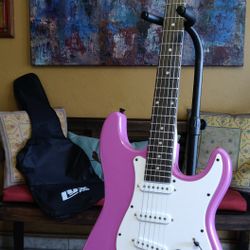 Open Box - Electric Guitar And Gig Bag - Brand New