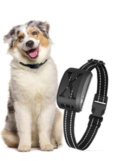 2-in-1 Wireless Dog Fence - Training Collar with Remote 2023 and Electric Fence for Ultimate Dog Safety and Freedom.Shock Collar for Large Dog (Collar