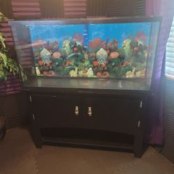 60 Galon Fish Tank With Stand 