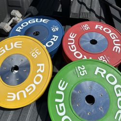 320lb Rogue Competition Bumper Plates