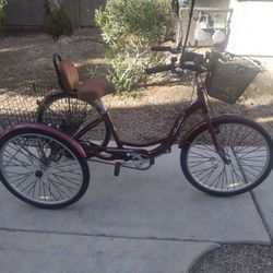 3 Wheel Meridian Bike