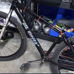 SE big ripper 29
