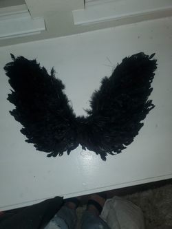 Beautiful Feathered Wings Costume