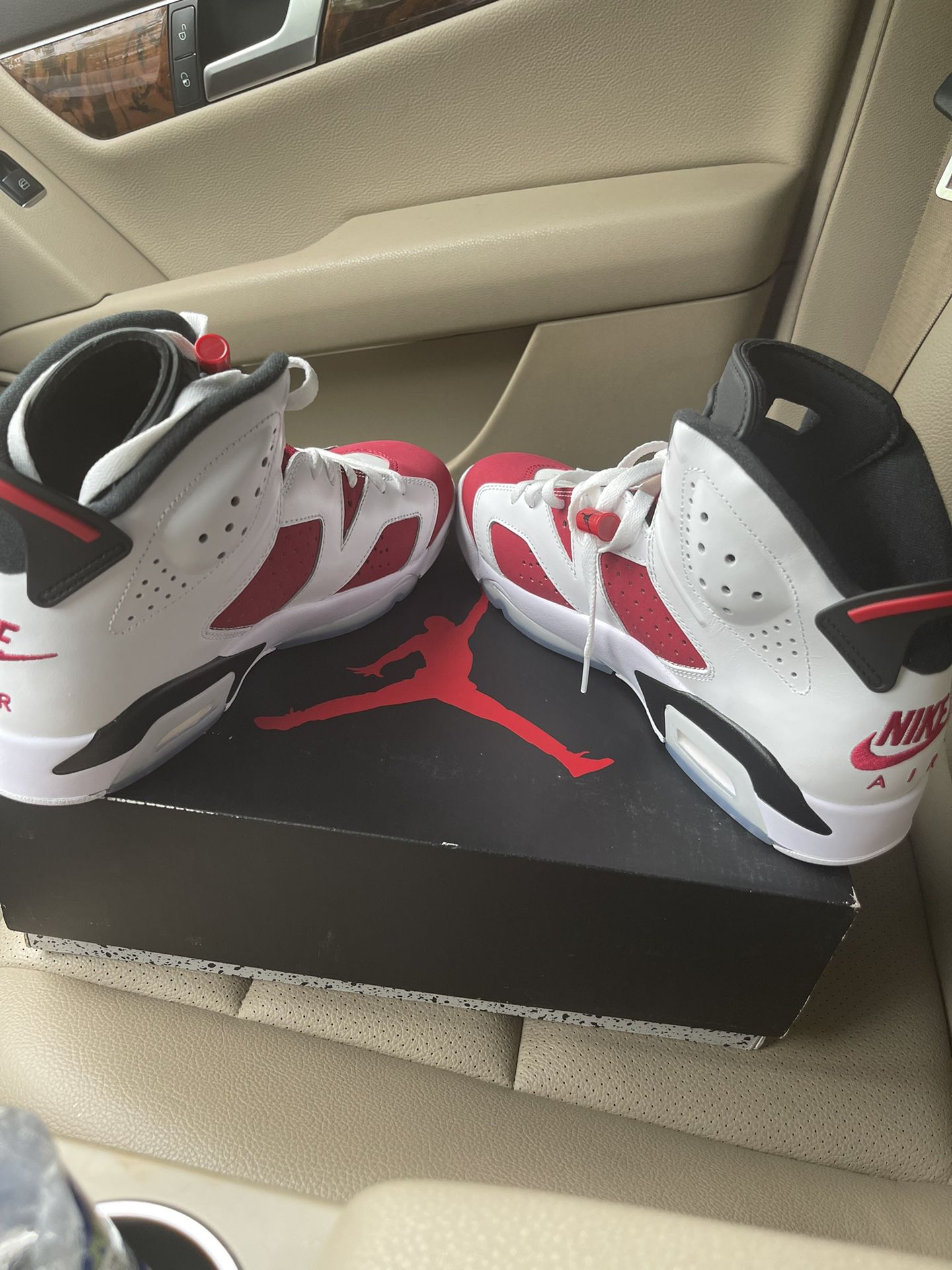 Air Jordan Retro 6 Carmines BRAND NEW Size 9.5