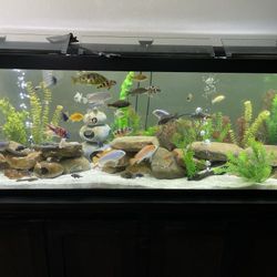 125 GALLON FISH TANK WITH STAND