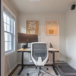 Framed Floral Prints (Set of 2) 