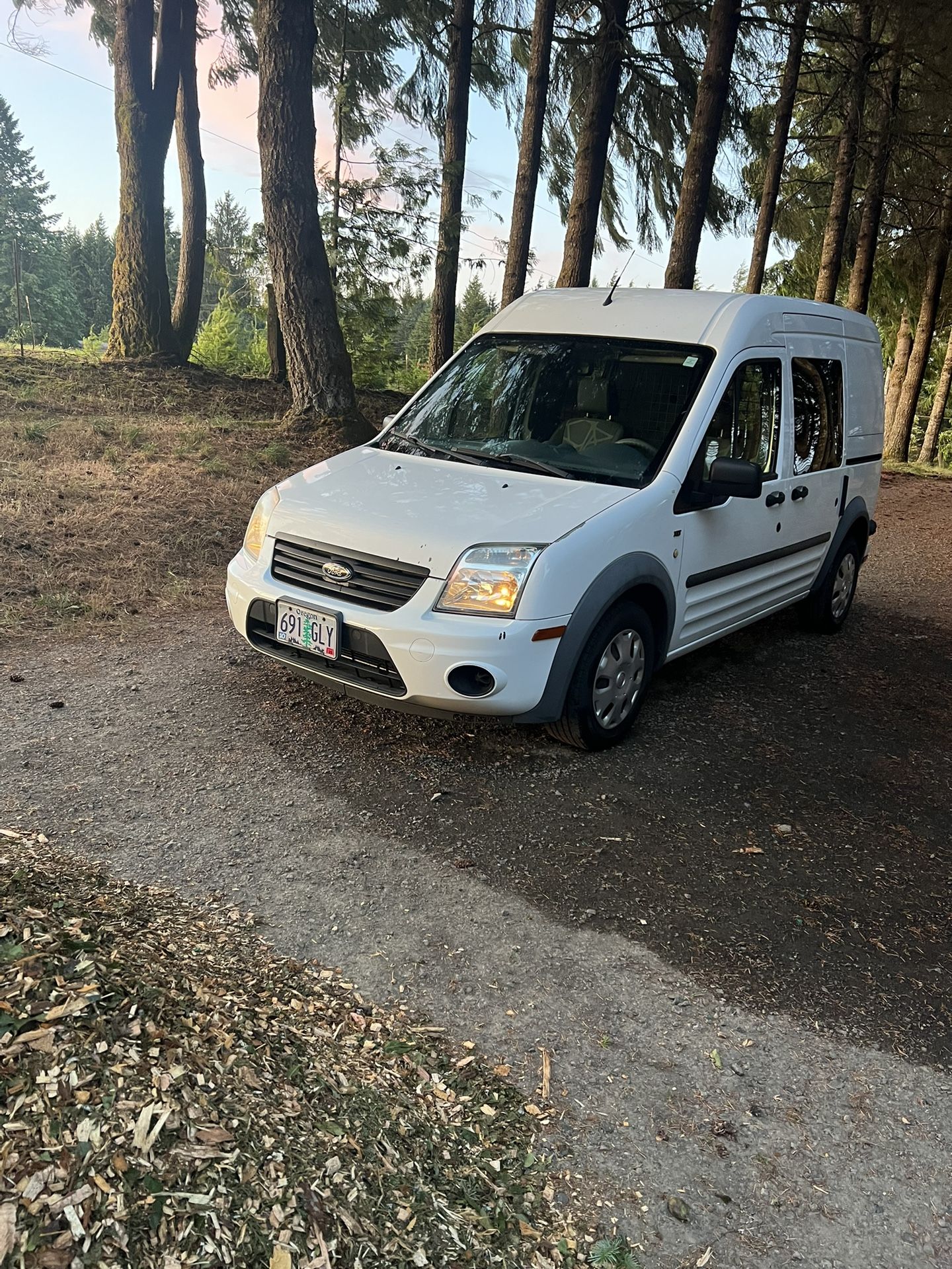 2013 Ford Transit Connect