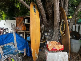 Walden surfboards