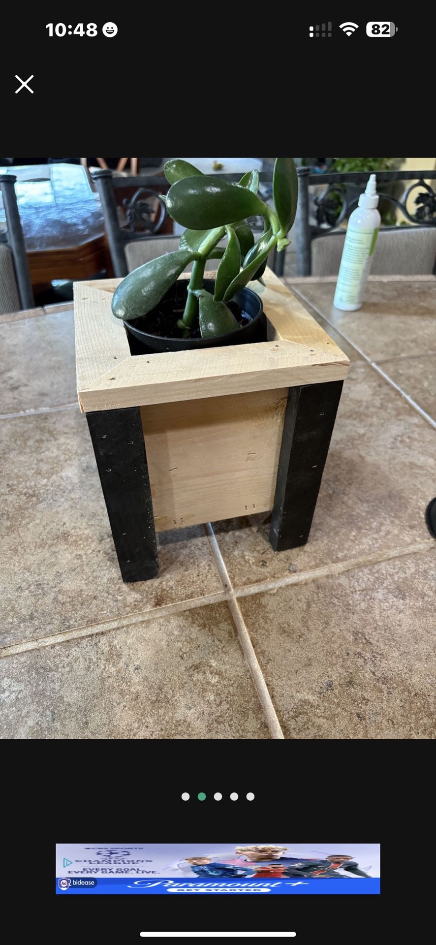 NEW Mini Planter Box With Plant