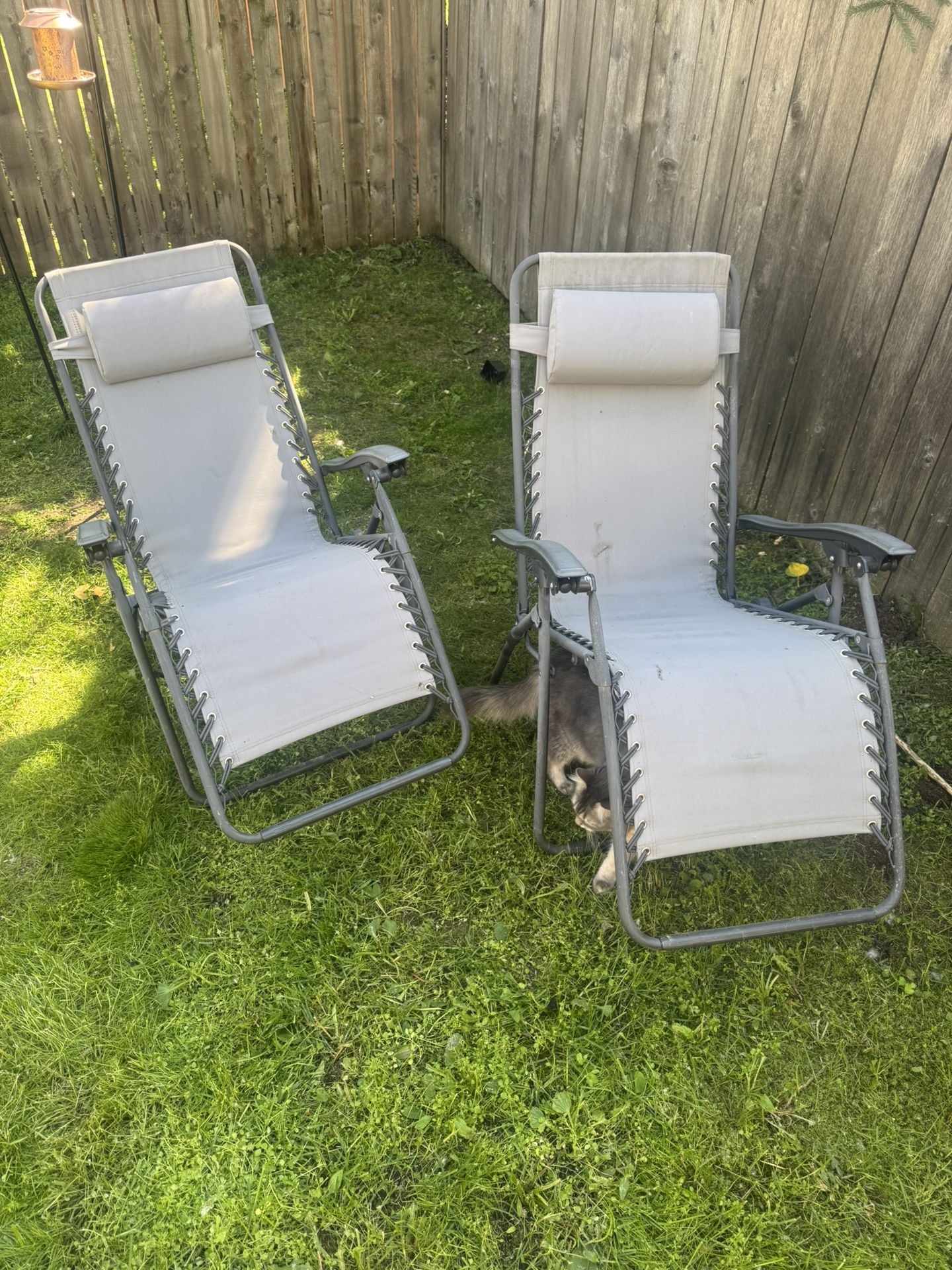 Outdoor Folding Chairs (2)