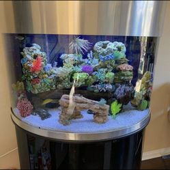 100 Gallon Fish Tank Turn Key Complete Unit 