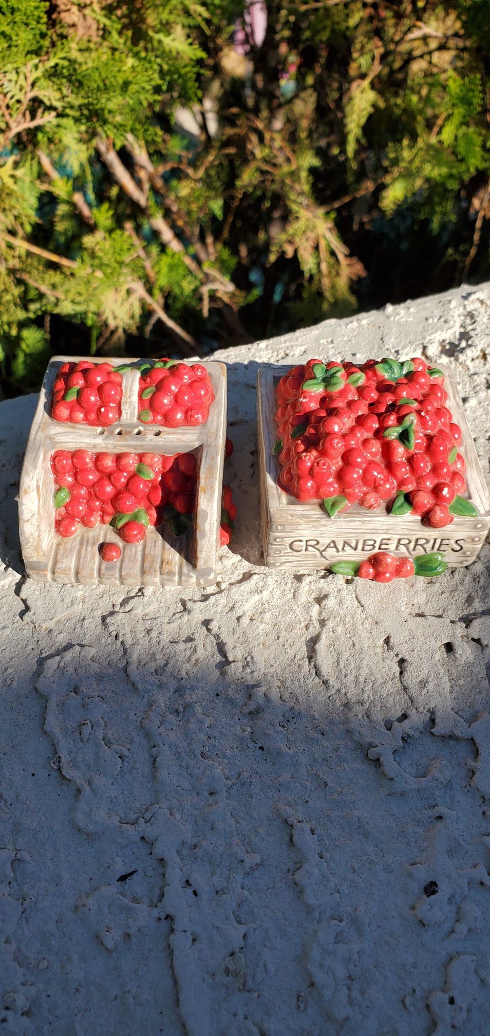 Cranberry Box Salt and Pepper Shakers