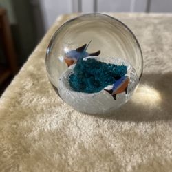 Stunning Fish Paperweight