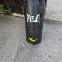 Everlast 40 Pound Punching Bag