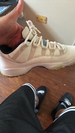 Air Jordan 11 retro low