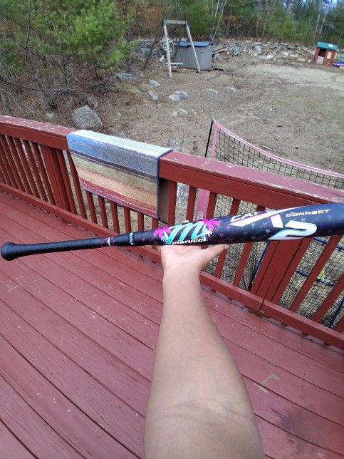 Cat X 2. Baseball Bat