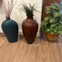 House Decor Plants