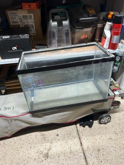 25 gallon fish tank