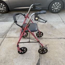 Adult Walker in good condition