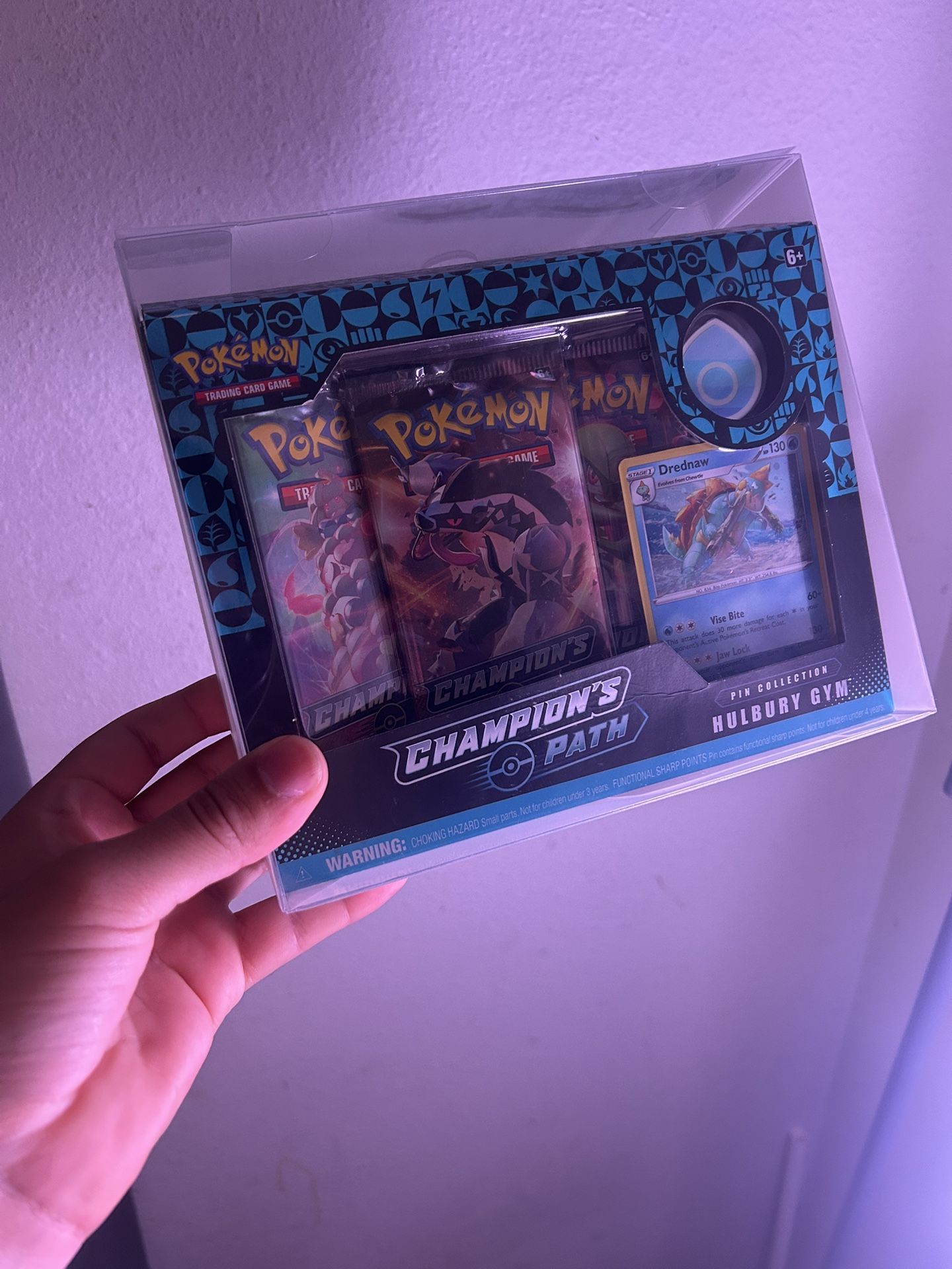 Pokemon Champion's Path Pin Collection [Hulbury Gym] - Champion's Path