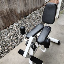 workout machine ( hip and thigh)