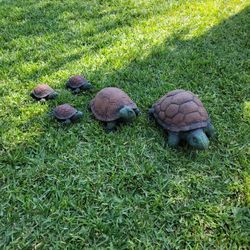 Medium Turtle Set.  Set DE Tortugas DE Cemento
