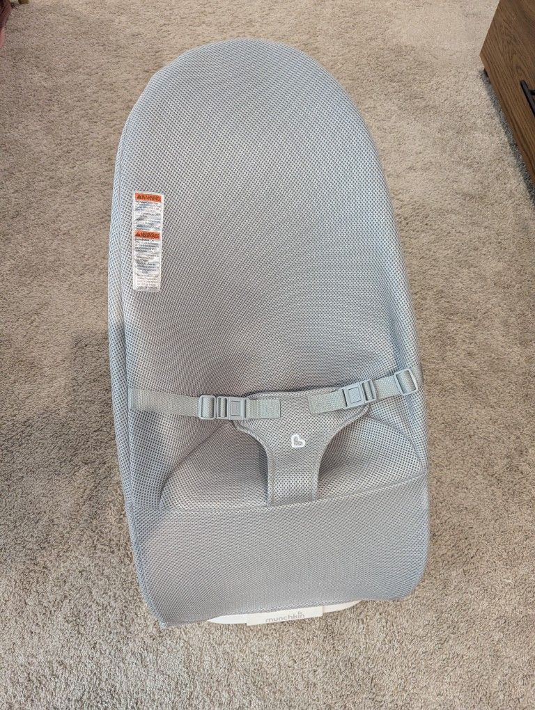 Baby Bouncer