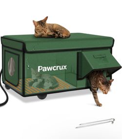 Outside cat house