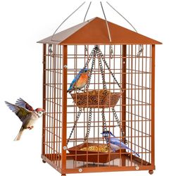 Huge Bird 🐦 Feeder 