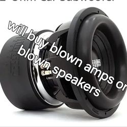 Buying Blown Amps And Speakers 