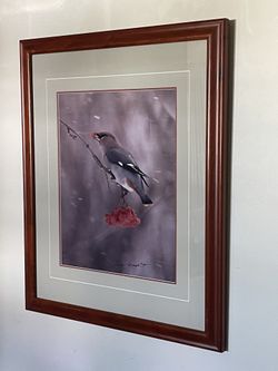 Thomas Mangelsen Winters Gift Bohemian Waxwing Signed & Framed Photo Limited Edition Rare 11 x 14”