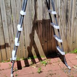 Pool Ladder 