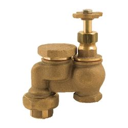 Champion  Brass Anti-Siphon Valve 3/4 in. 150 psi