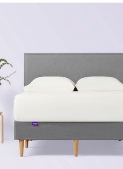 Purple upholstered bed frame for queen bed