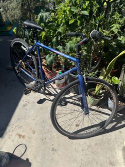 Kent Bike