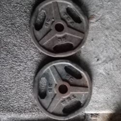TSA WEIGHT PLATES 35LBS × 2