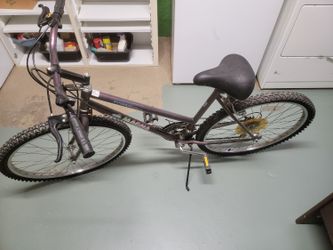 15 Speed Bicycle