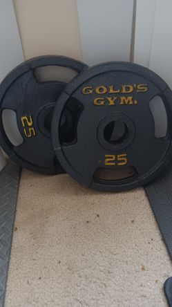 Two Gold Gym 25lbs Weight Plates